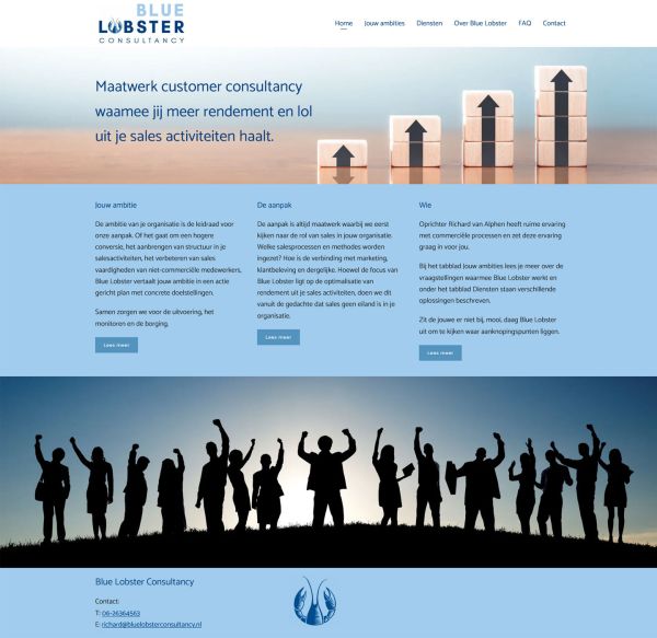 Blue Lobster Consultancy website